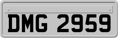 DMG2959