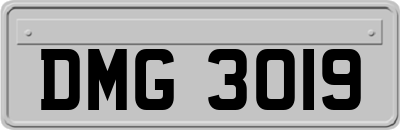 DMG3019