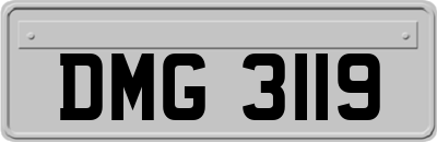 DMG3119