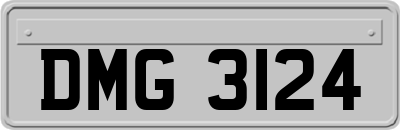 DMG3124