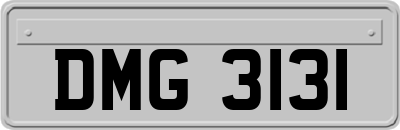 DMG3131