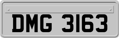 DMG3163