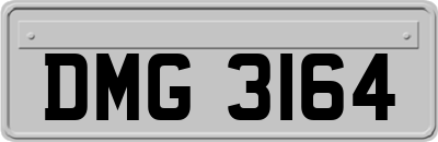 DMG3164