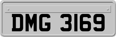 DMG3169
