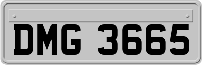 DMG3665