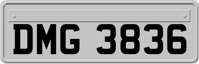 DMG3836