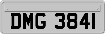 DMG3841