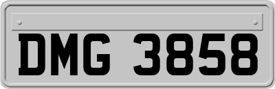 DMG3858