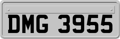 DMG3955