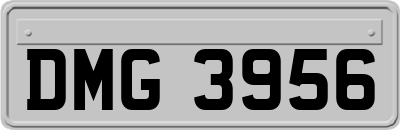 DMG3956