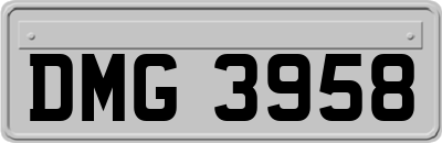 DMG3958