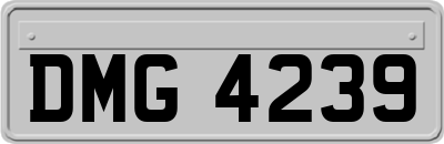 DMG4239