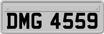 DMG4559