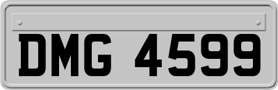 DMG4599