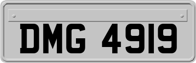 DMG4919