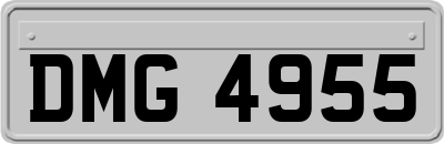 DMG4955