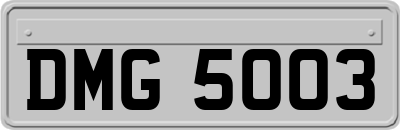 DMG5003