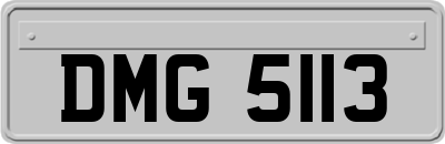 DMG5113