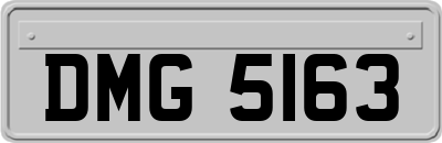 DMG5163