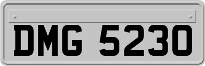 DMG5230