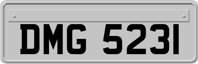 DMG5231