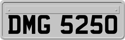DMG5250