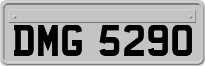 DMG5290