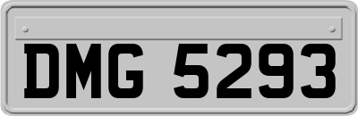 DMG5293
