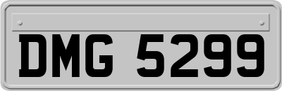 DMG5299