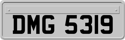 DMG5319