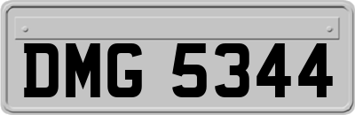 DMG5344