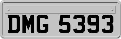 DMG5393