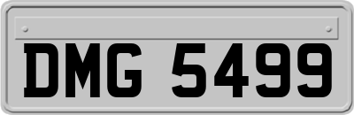 DMG5499