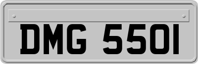 DMG5501