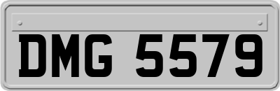 DMG5579