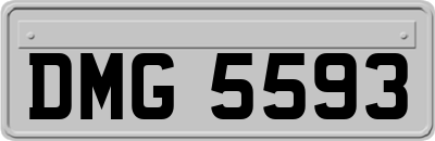 DMG5593