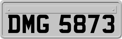 DMG5873
