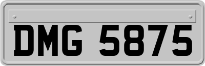DMG5875
