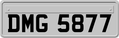 DMG5877