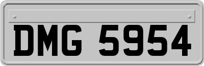DMG5954