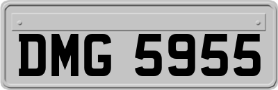 DMG5955