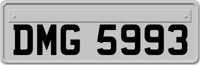 DMG5993