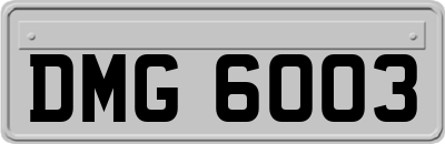 DMG6003
