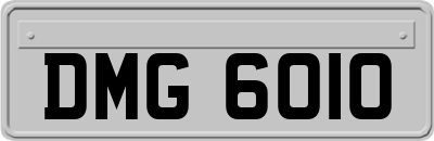 DMG6010