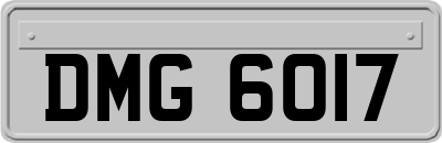 DMG6017
