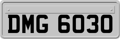 DMG6030