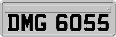 DMG6055