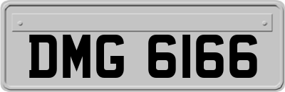 DMG6166