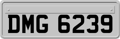 DMG6239