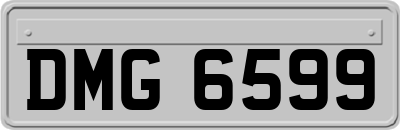 DMG6599